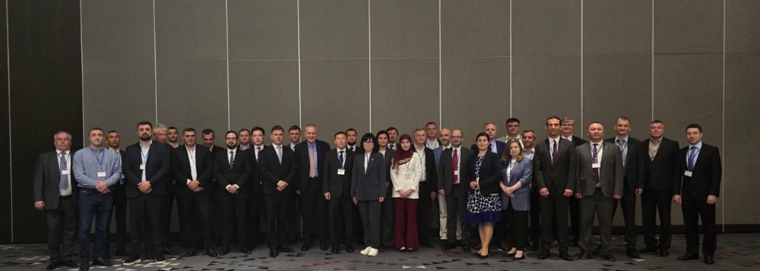 The Eighth Working Meeting Of The Air Navigation Services Implementation Support Group